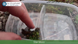 "آموزش ساخت تراریوم: گیاهان آکواریومی - راهنمای کامل برای مبتدیان"