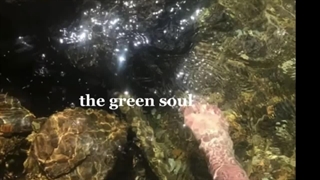 تقدیمی (: تولدت مبارک لارا فرشته  کوشولوم (: