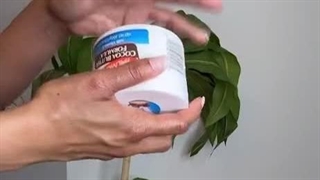 کرم آبرسان کره کاکائو پالمرز