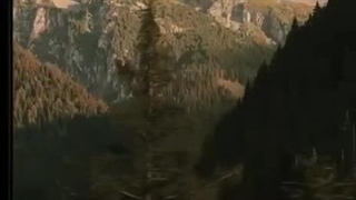 ƚɾαʋҽʅιɳɠ Ⴆყ ƚɾαιɳ