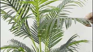 خرید درختچه مصنوعی نخل اریکا ۱.۶ متری | سبز تیره و روشن با کیفیت لمسی 