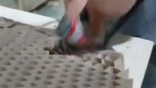 مراحل تولید درب چوبی اتاقی رو دیدی؟