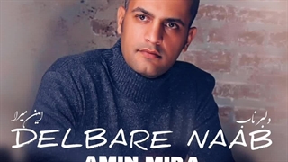 دانلود آهنگ جدید امین میرا دلبر ناب + کلیپ