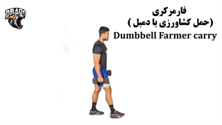 آموزش حرکت فارمر کری با دمبل | تکنیک، مزایا و عضلات درگیر