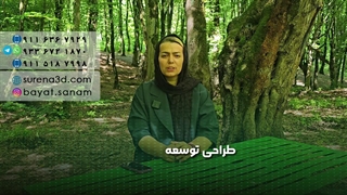 طراحی سایت در شاهرود