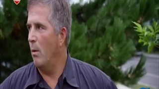 چوب بران باتلاق 16 اسفند 1402