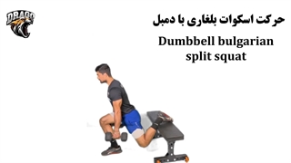 آموزش کامل اسکوات بلغاری با دمبل | فرم صحیح + مزایا + نکات ایمنی