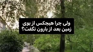 ولی چرا هیچکس از بوی زمین بعد از بارون نگفت؟
