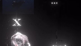 In the back of my mind