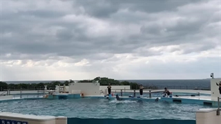 Vlog زیباترین جزیره ژاپن اوکیناوا