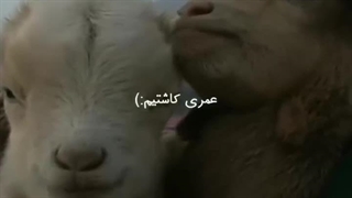 عین سگ خوابم میاد فردا باشگاه دارم ولی نخوابیدم خخخخ هوففف