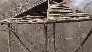 چگونه در محیط خنک پناهگاه‌های طبیعی  ساختم