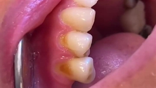 دکتر علیرضا افراشی