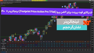 اندیکاتور فوت پرینت پرایس اکشن پرو (Footprint Price Action Pro TFlab) نینجاتریدر8 #10 نشان گر حجم - [تریدینگ فایندر]