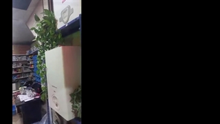 تعمیرگاه پکیج دیواری