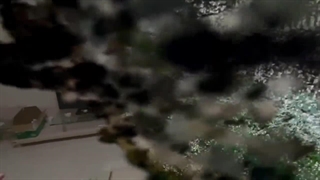 اکنون می‌توانید با مدل هوش‌ مصنوعی جدید اپل، تصاویر خود را سه بعدی کنید!