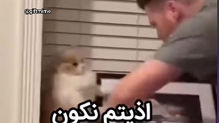 من اون آدمه  هستم و اون گربه هم بغلیم تو مدرسه  ، بنده خدا از دست من اسیر شده