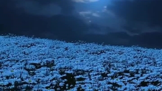 فصل دوم رمان THE EDICTION (اعتیاد) پارت پنجاه و ششم