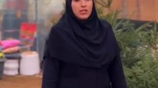 گلخانه صائین سبز آیسو در شاهین دژ