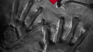 ۹۹٪  درصد آدما  اون ۱٪ درصد