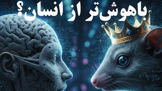 آیا انسان واقعاً باهوش‌ترین موجود زمینه؟ دروغ بزرگ مغز