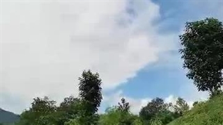 کارگاه چایسازی بهمنیار در املش