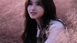 چند تا گروه استن میکنین؟