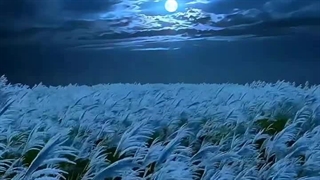 فصل دوم رمان THE EDICTION (اعتیاد) پارت پنجاه و هفتم