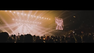 Stray Kids "You Can STAY" Video