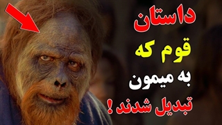 داستان قوم که به میمون تبدیل شدند! - اصحاب سَبت