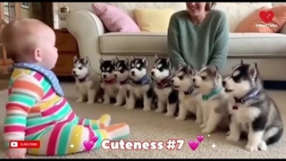 لحظات خنده دار و بامزه از سگ و نوزاد