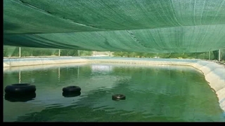 تور سایبان استخر ماهی صرفه‌جویی در آب: کاهش چشمگیر تبخیر سطحی