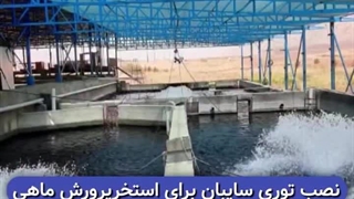 استخر ماهی سایه بان  قیمت