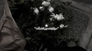 ـــــ☆ــــ