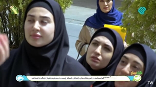 بهار شیراز 1