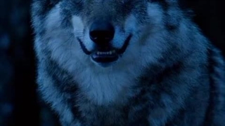 رمان برایم حرف بزن (SPEAK FOR ME) پارت سوم