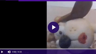 ادامه کارتون تحلیل تکنیک 181