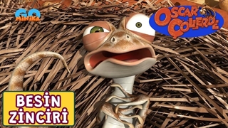 انیمیشن اسکار در صحرا | زنجیره غذایی