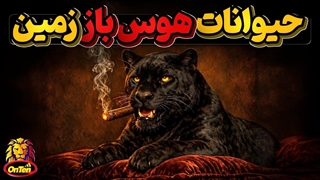 هوس باز ترین حیوانات زمین