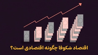 اقتصاد شکوفا، چگونه اقتصادی است؟