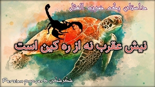 نیش عقرب نه از ره کین است: ضرب المثل معروف پارسی