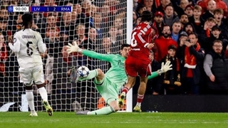 سیوهای بی نظیر و تکرار نشدنی از تیبو کورتوآ