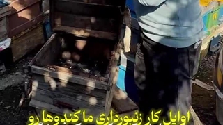 فروشگاه عسل مطهر در لاهیجان