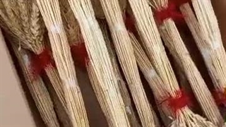 پرورش و پخش ماهی تزئینی قرمز یکتا در رشت