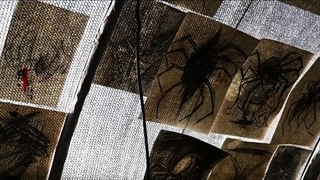 The Truth Within(سریال حقیقت درون با بازی لویونشی،کپشن مهم)♡