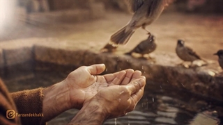 نماهنگ ولادت حضرت علی(ع) با صدای محسن چاوشی - هوش مصنوعی