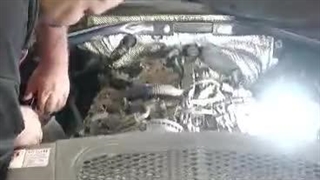 خدمات تخصصی خودروهای چینی mvm ام وی ام و فونیکس و تیگو در سعادت آباد غرب تهران