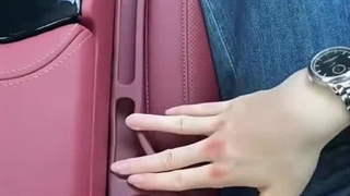 نظم دهنده کنار صندلی خودرو مدل Carizo بسته 2 عددی . ایران کالا اس بی اس .