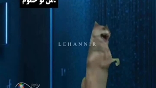 میم گرگعلی در حمام ایخ ویل نیخ