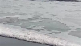 Part : اخر عشق پس از زندگی